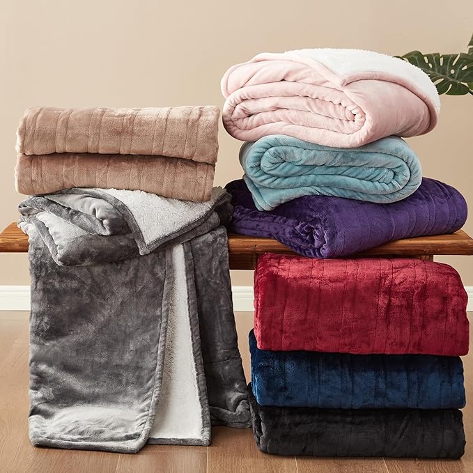 EHEYCIGA Heated Blanket - 9 Heating Levels, 10 Hour Auto Off, Soft Cozy Sherpa Washable Throw, 50 x 60 Inches