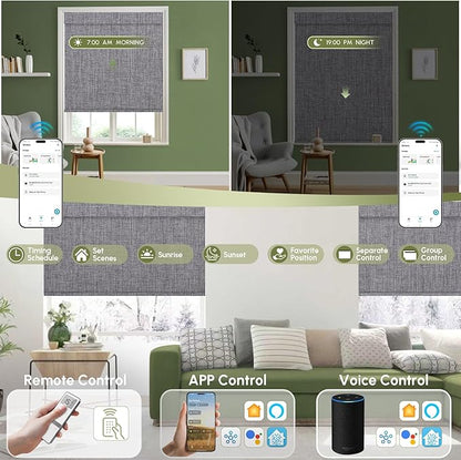 FineTell Motorized Blinds with Remote, 100% Blackout Roller Shades Work with Alexa,Apple Homekit,Google Home APP and Voice Control, Customized Electric Blinds (100% Blackout Dual Sided Dark Grey)