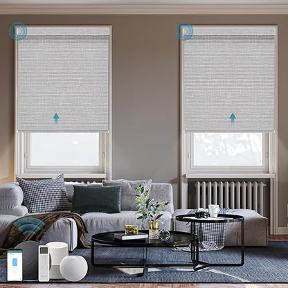 Motorized Roller Shade, 100% Blackout Smart Window Blinds Work with Homekit, Alexa, Google Home, Remote Control, Electric Blinds with USB/Solar Pannel Charging, Texture Smoke