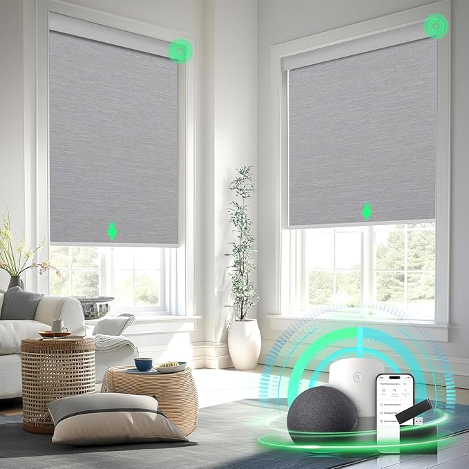 Smart Motorized Blinds Battery Operated with Remote Control, Cordless Automatic Blackout Roller Window Shades, Custom Electric Blinds with Valance,Fit for APP Voice Control (Grey,29" Wx72 H)