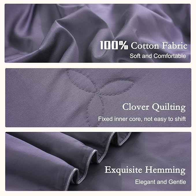 YOUR MOON Pure Mulberry Silk Comforter Twin Size for All Season,100% Natural Long Strand Silk Fill Duvet, Luxury Bedding, Noiseless Cotton Shell (Dark Gray)
