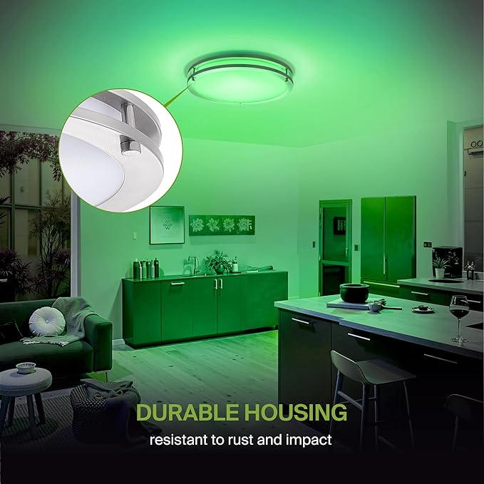 ASD LED 18" Round Flush Mount Lighting, Close to Ceiling Light Fixture | Smart, Multicolor, Dimmable, ETL Listed | 28W 1844LM RGB-2700-6500K 120V | Low Profile Double Ring Lamp | Nickel
