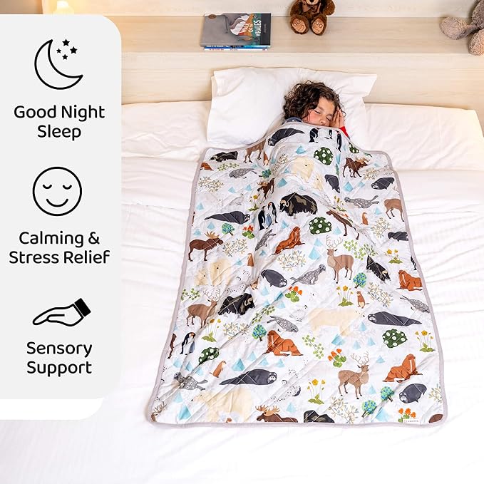 Aricove Kids Weighted Blanket, 5 lb, 36x48 inches, Small Size, Soft Cotton, Machine Washable, Grey/Snow Animals