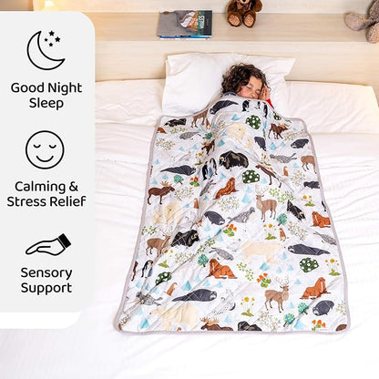 Aricove Kids Weighted Blanket, 5 lb, 36x48 inches, Small Size, Soft Cotton, Machine Washable, Grey/Snow Animals