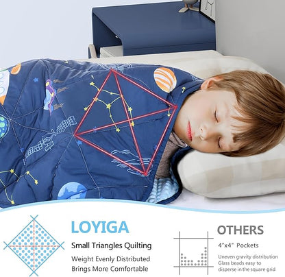 LOYIGA Weighted Blanket with Removable Duvet Case 3lbs 36” x 48”,Reversible Heavy Blanket (Blue)
