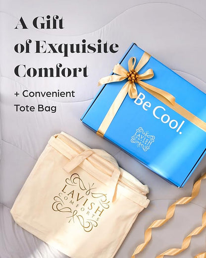Lavish Comforts® Cooling Comforter Queen Size, Ice Blanket, Cool Comforters for Hot Sleepers, Summer Cooling Comforter, Lightweight Comforter Queen Cooling Blanket, Queen Grey 90"x90"