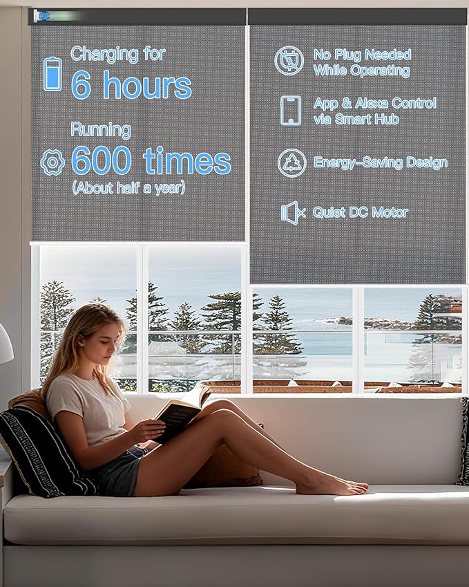 Motorized Solar Roller Shades with Remote Control, Light Filtering Smart Blinds for Windows Work with Alexa Google via Hub, Rechargeable Electric Shade Customized Size (Fireproof Black)