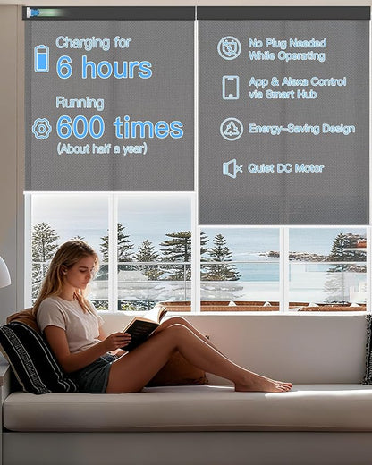 Motorized Solar Roller Shades with Remote Control, Light Filtering Smart Blinds for Windows Work with Alexa Google via Hub, Rechargeable Electric Shade Customized Size (Fireproof Black)