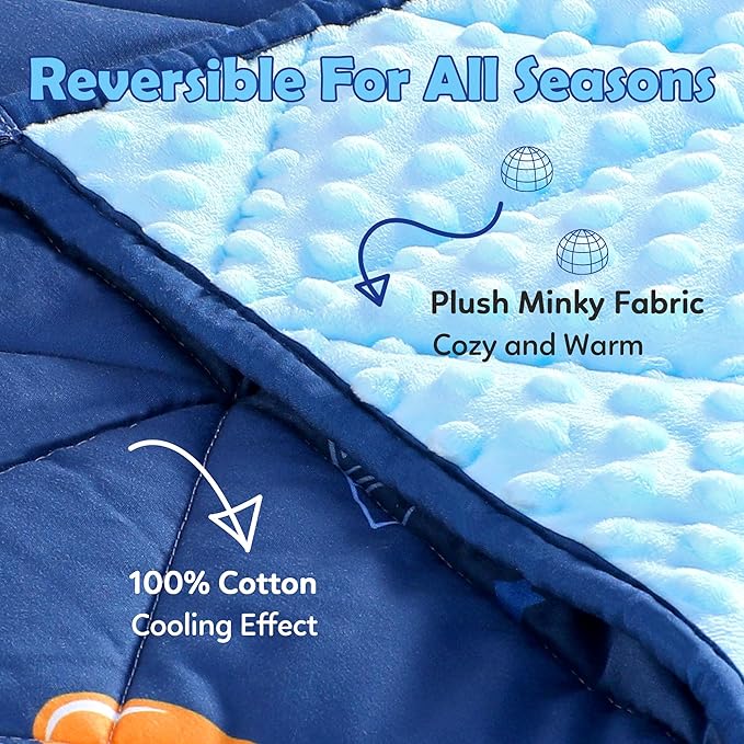 LOYIGA Weighted Blanket with Removable Duvet Case 3lbs 36” x 48”,Reversible Heavy Blanket (Blue)