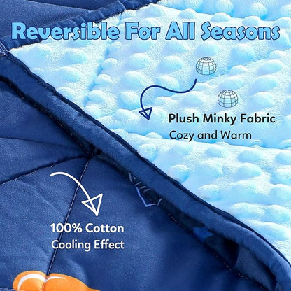 LOYIGA Weighted Blanket with Removable Duvet Case 3lbs 36” x 48”,Reversible Heavy Blanket (Blue)