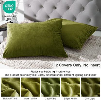 PHF Super Soft Velvet Pillowcases Standard Size, No Insert, 2 Pack Luxury Cozy Warm Pillow Shams Covers with Envelope Closure, 20" X 26" Cozy Fuzzy Flannel Pillow Case, Olive Green
