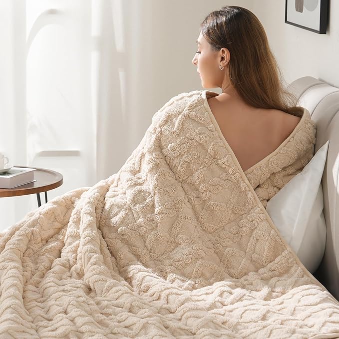 Drewin Weighted Blanket Queen Size 17lbs, Classy Soft Jacquard Sherpa Weighted Blankets for Sleep Natural and Calming, Ultra-Cozy Sofa Bed Blanket for Winter, Beige, 60 x 80 inches