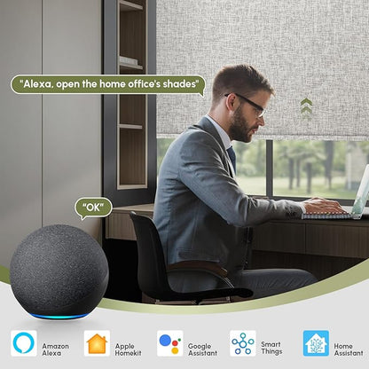 FineTell Motorized Blinds with Remote, 100% Blackout Roller Shades Compatible with Alexa,Apple Homekit,Google Home APP and Voice Control, Customized Electric Blinds (100% Blackout Mist Ash Grey)