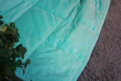ALANSMA Reversible Weighted Blanket for All Season, Luxury Velvet, Warm and Cool, Adult 20Lb Green Weighted Blanket, Enjoy Sleeping Anywhere(Light Green,60"x80" 20lbs)