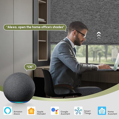 FineTell Motorized Blinds with Remote, 100% Blackout Roller Shades Work with Alexa,Apple Homekit,Google Home APP and Voice Control, Customized Electric Blinds (100% Blackout Eclipse Anchor Grey)