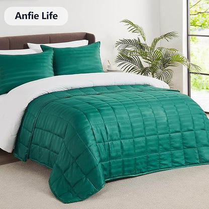Weighted Blanket Queen Size (60"x80" 25lbs),Ultra Soft and Cozy Cooling Weighted Blanket Queen Size for Adult,Heavy Blanket with Machine Washable Soft Blanket, Green