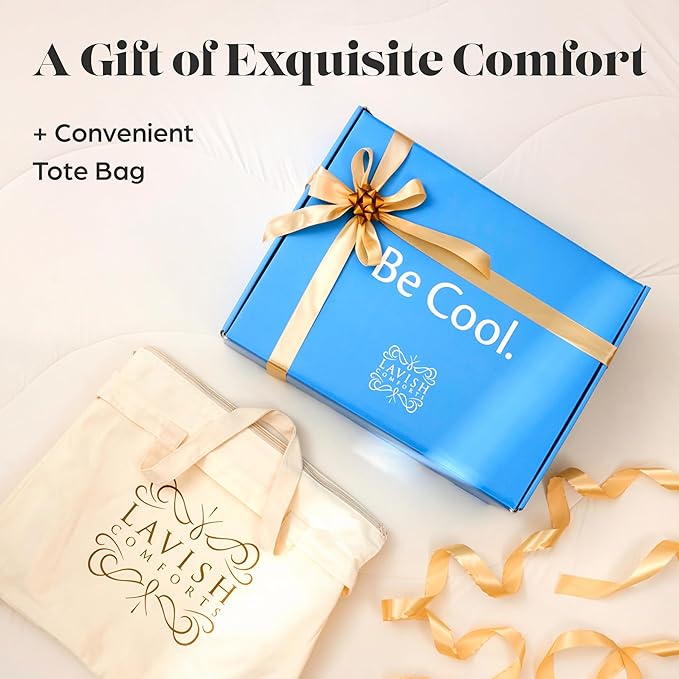 Lavish Comforts® Cooling Comforter Queen Size/Full Size │Premium Cooling Duvet for Hot Sleepers│All Season Cozy Cooling Blanket │White Comforter Queen 90" x 90" Box Ready