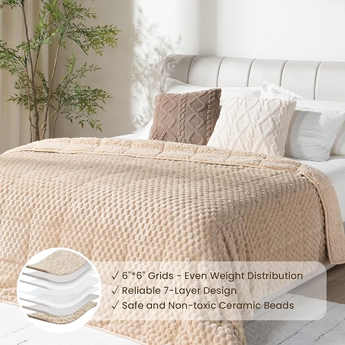 Drewin 20lbs Weighted Blanket Queen Size, Double-Sided Cozy Fluffy Jacquard Sherpa Weighted Blanket, Soft Adult Weighted Blankets for Couch Bed, Ceramic Beads, 60 x 80 inches, Beige