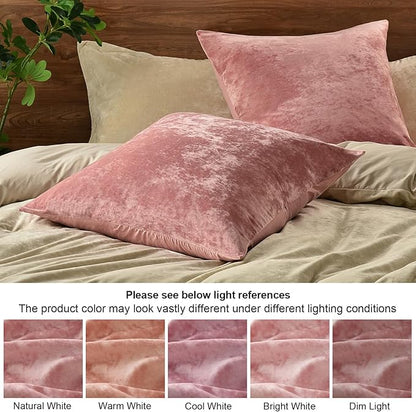 PHF Truly Velvet Throw Pillow Covers, 24"x24", No Insert, 2 Pack Color Gradient Cushion Covers, Ultra Soft Cozy Square Covers Shell for Home Decorative, No Shedding, No Pilling, Pink