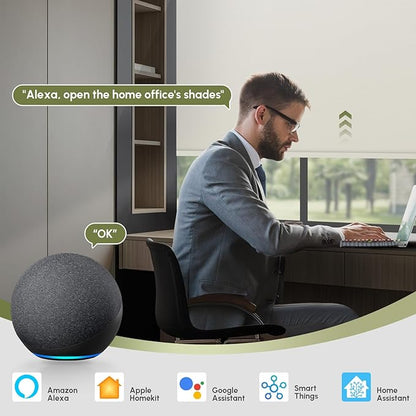 FineTell Motorized Blinds with Remote, 100% Blackout Roller Shades Compatible with Alexa,Apple Homekit,Google Home APP and Voice Control, Customized Electric Blinds (100% Blackout Pure Cream)