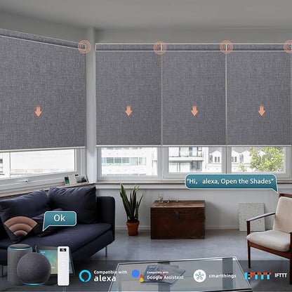 Motorized Roller Shade: Blackout, Electric Blinds, Compatible with Alexa/Google Home/Apple Homekit, Customized Size, Noir Anchor Grey