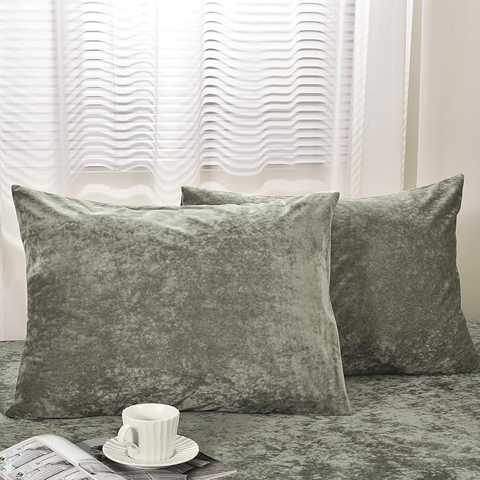 PHF Truly Velvet Pillowcases Standard Size, No Insert, 2 Pack Ultra Soft Breathable Pillow Shams Covers with Envelope Closure, 20" X 26" Luxury Cozy Warm Fuzzy Flannel, Vetiver