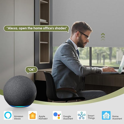 FineTell Motorized Blinds with Remote, 100% Blackout Roller Shades Compatible with Alexa,Apple Homekit,Google Home APP and Voice Control, Customized Electric Blinds (100% Blackout Pure Grey)