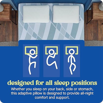 Sealy Dreamlife Queen Size Memory Foam Cooling Pillow with Surface Guard Technology, Removable Machine-Washable Cover, 1 Year Limited Warranty, White (2 Pack)