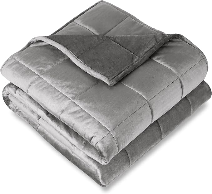 Bare Home Weighted Blanket Queen Size 20lb (60" x 80") for Adults - Minky Fleece - Premium Heavy Blanket Nontoxic Glass Beads (Light Grey, 60"x80")