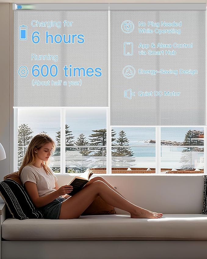 Motorized Solar Roller Shades with Remote Control, Light Filtering Smart Blinds for Windows Compatible with Alexa Google via Hub, Rechargeable Electric Shade Customized Size (Fireproof Grey)