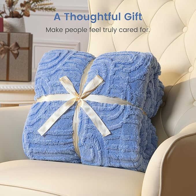 Sherpa Fleece Adult Weighted Blanket Great for Sleep, 15 lbs Dual Sided Soft Fuzzy Heavy Blankets for Couch Bed Sofa, Cozy Warm Fluffy Arched Jacquard Throw for Winter (Blue, 60" x 80", 15 Pounds)