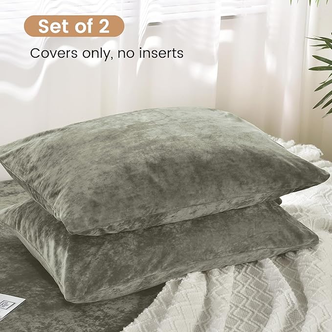 PHF Truly Velvet Pillowcases Standard Size, No Insert, 2 Pack Ultra Soft Breathable Pillow Shams Covers with Envelope Closure, 20" X 26" Luxury Cozy Warm Fuzzy Flannel, Vetiver