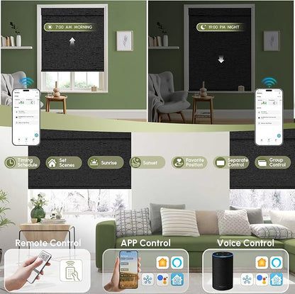 FineTell Motorized Blinds with Remote, 100% Blackout Roller Shades Work with Alexa,Apple Homekit,Google Home APP and Voice Control, Customized Electric Blinds (100% Blackout Eclipse Obsidian Black)