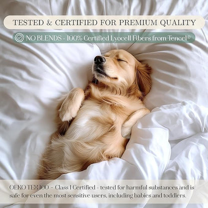 CASILVA Eucalyptus Sheets - Infused with Silver for Anti-Odor, Softer Than Silk Fibers, More Cooling Than Cotton - Perfect for Hot Sleepers & Sensitive Skin - 100% Tencel Lyocell - Queen Sheet Set