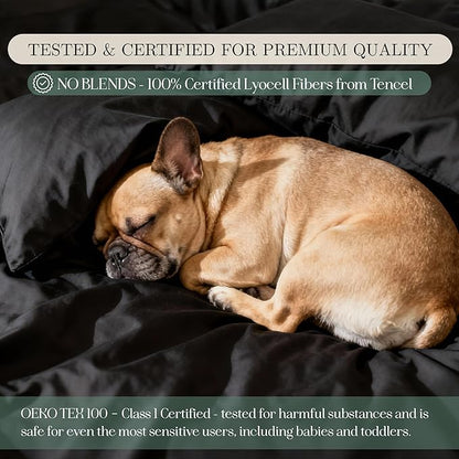CASILVA Eucalyptus Sheets - Infused with Silver for Anti-Odor, Softer Than Silk Fibers, More Cooling Than Cotton - Perfect for Hot Sleepers & Sensitive Skin - 100% Tencel Lyocell - Queen Sheet Set