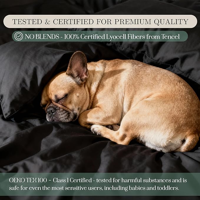 Eucalyptus Sheets - Infused with Silver for Anti-Odor, Softer Than Silk Fibers, More Cooling Than Cotton - Perfect for Hot Sleepers & Sensitive Skin - 100% Tencel Lyocell - Cali-King Sheet Set