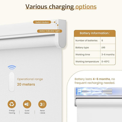 Grandekor Motorized Blinds Smart Roller Shade with Remote Control Compatible with Alexa,Battery Charging,Customized Size Color Control System Blackout