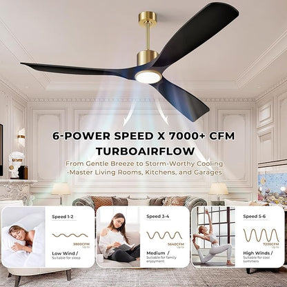 Ceiling Fan with Light and Remote Control, 52" Outdoor Ceiling Fan for Patios, Bedrooms & Living Rooms - Matte Black & Gold