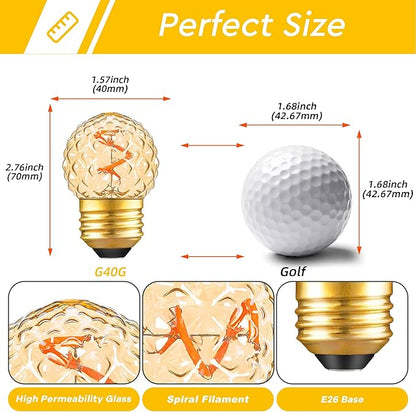 G40 Replacement Bulbs Night Light Bulbs Small Edison Light Bulb Base Sizes Chart Mini Globe Low Watt Light Bulbs 1W(10W Equivalent),AC120V Warm White 2200K 80LM,Outdoor Holiday Decorative Bulb,2 Pack