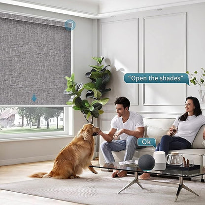 Motorized Roller Shades,Motorized Light Filtering Shades Compatible with Homekit Alexa Google,70% Blackout Smart Blind with Remote,Electric Shades for Home Office,Texture Midnight