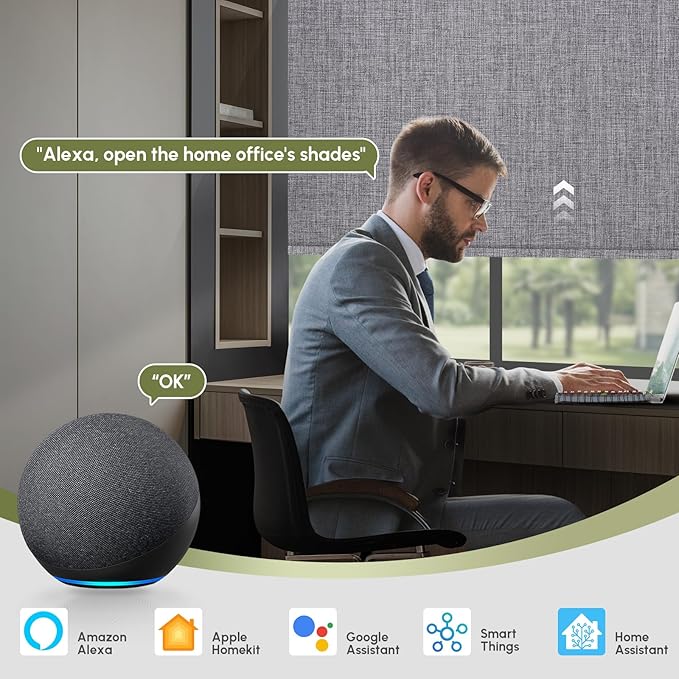 FineTell Motorized Blinds with Remote, 100% Blackout Roller Shades Work with Alexa,Apple Homekit,Google Home APP and Voice Control, Customized Electric Blinds (100% Blackout Dual Sided Dark Grey)