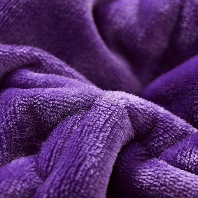 MOTRIP Weighted Blanket Queen Size for Adult Flannel Bed Blanket with Sanded Reversible, 60''x80'' 20 Pounds Purple
