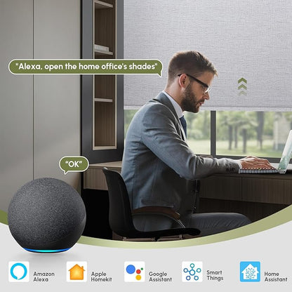 FineTell Motorized Blinds with Remote, 100% Blackout Roller Shades Compatible with Alexa,Apple Homekit,Google Home APP and Voice Control, Customized Electric Blinds (100% Blackout Classic Light Grey)