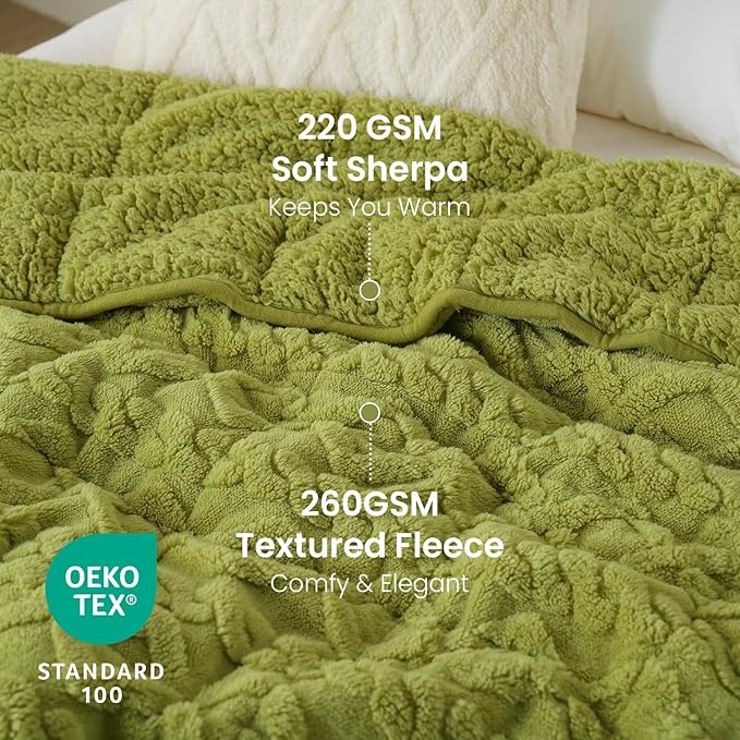 Drewin Weighted Blanket Queen Size 15 lbs, Dual Sided Soft Fuzzy Jacquard Sherpa Bed Blankets with Ceramic Beads, Ultra Fuzzy and Thick Winter Weighted Blanket, 60 x 80 inches, Grass Green