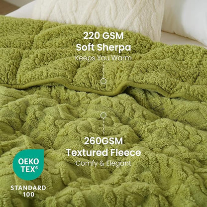 Drewin Weighted Blanket Queen Size 15 lbs, Dual Sided Soft Fuzzy Jacquard Sherpa Bed Blankets with Ceramic Beads, Ultra Fuzzy and Thick Winter Weighted Blanket, 60 x 80 inches, Grass Green