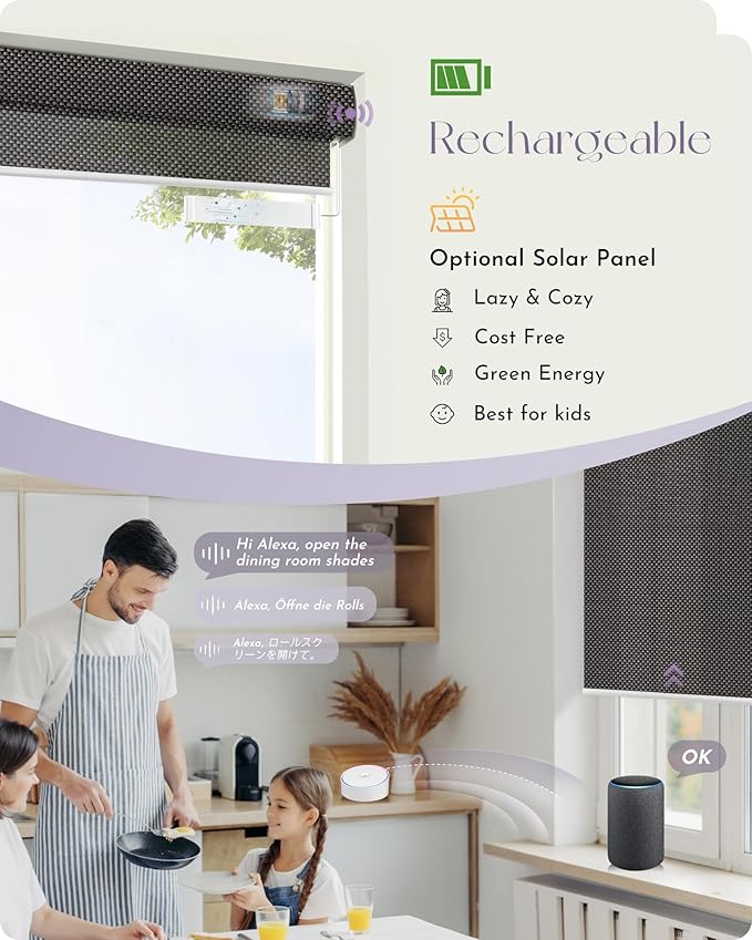 Graywind Motorized Solar Shades Light Filtering Mesh Shade Compatible with Alexa Google Remote Control Window Blinds with Valance for Smart Home Office Business, Custom Size (5% Openness Rock Black)