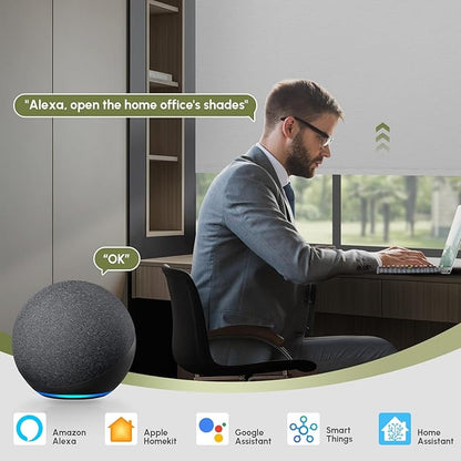 FineTell Motorized Blinds with Remote, 100% Blackout Roller Shades Compatible with Alexa,Apple Homekit,Google Home APP and Voice Control, Customized Electric Blinds (100% Blackout Pure Light Grey)