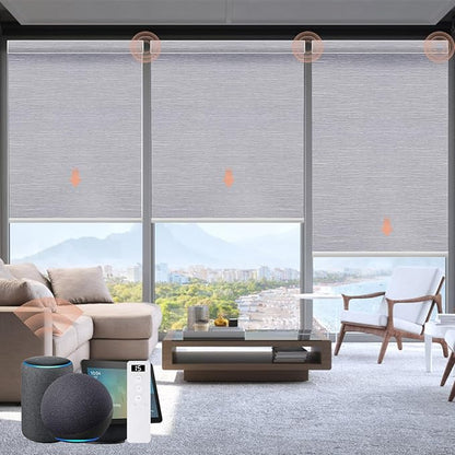 Motorized Blinds Roller Shade with Remote: Canisteo Automatic Smart Blind for Windows 100% Blackout, Electric Blinds Compatible with Alexa/Google Home/Apple Homekit, Customized Size, Pure Grey