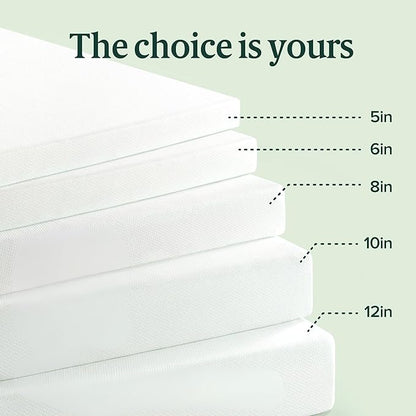 Zinus 6 Inch Queen Green Tea Memory Foam Mattress [New Version], Fiberglass Free, Medium Firm Feel, Zoned Pressure Relief, Certified Safe Foams & Fabric, Mattress in A Box