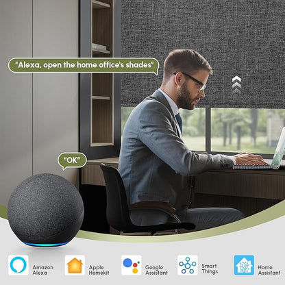 FineTell Motorized Blinds with Remote, 100% Blackout Roller Shades Compatible with Alexa,Apple Homekit,Google Home APP and Voice Control, Customized Electric Blinds (100% Blackout Dual Sided Black)